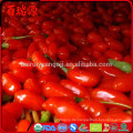 Bestellen Goji Beeren Goji Beere Como Tomar Goji Beere